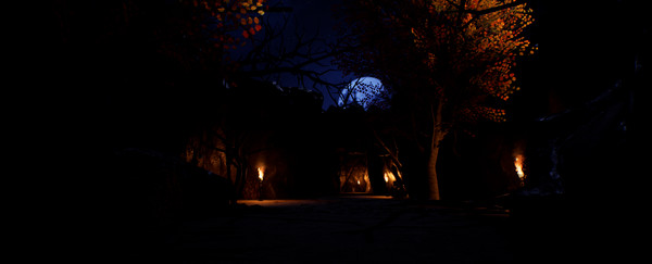 Tower of Fatefor windows and Linux 1