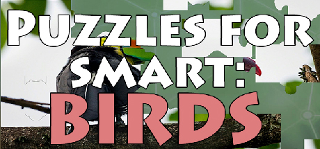 Puzzles for smart: Birds cover art