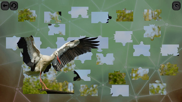 Puzzles for smart: Birds screenshot