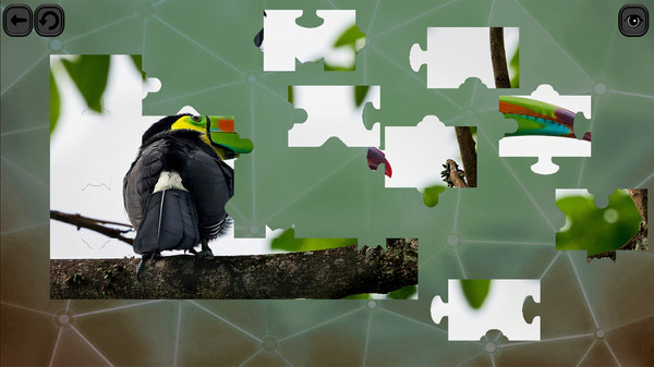 Скриншот из Puzzles for smart: Birds