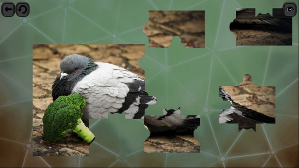 Скриншот из Puzzles for smart: Birds