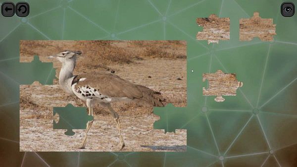 Puzzles for smart: Birds PC requirements