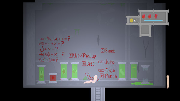 Project Fleshfor windows and Linux 1