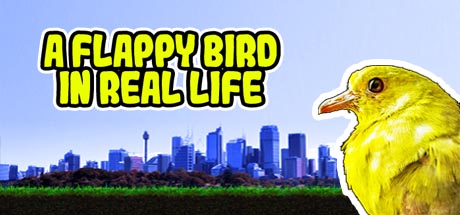 A Flappy Bird in Real Life cover art