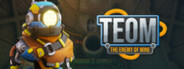 TEOM System Requirements