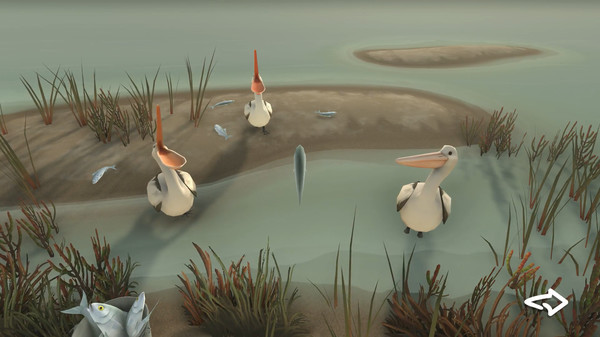 Storm Boy game for windows Pc 1