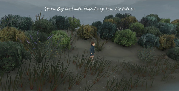Storm Boy game for Linux 1
