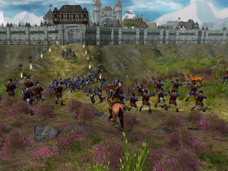 Скриншот из The Settlers : Heritage of Kings - History Edition