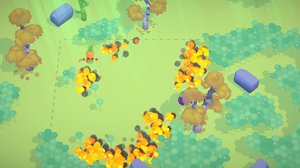 Boomerang Fufor windows and Linux 1