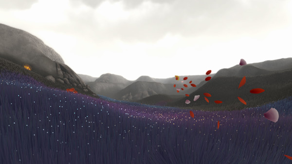 花/Flower
