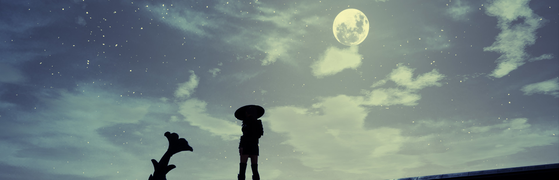 Tale of Ninja: Fall of the Miyoshi