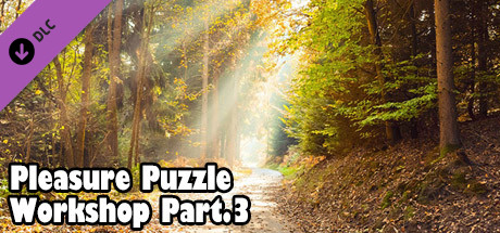 Pleasure Puzzle:Workshop - Part 3 cover art