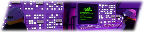 Flynguin Station