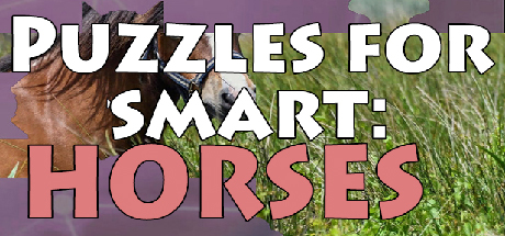 Puzzles for smart: Horses cover art