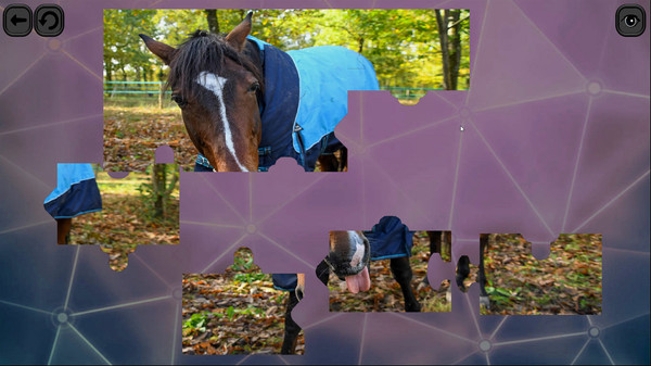 Скриншот из Puzzles for smart: Horses