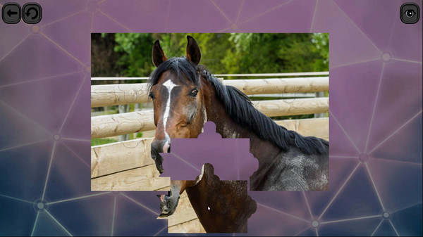 Скриншот из Puzzles for smart: Horses