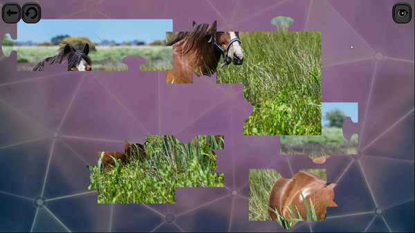 Скриншот из Puzzles for smart: Horses