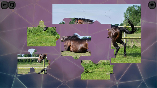 Скриншот из Puzzles for smart: Horses