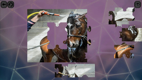 Скриншот из Puzzles for smart: Horses