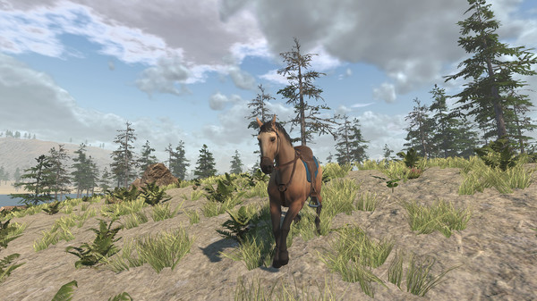 Скриншот из Sierra Madre: The Wild West
