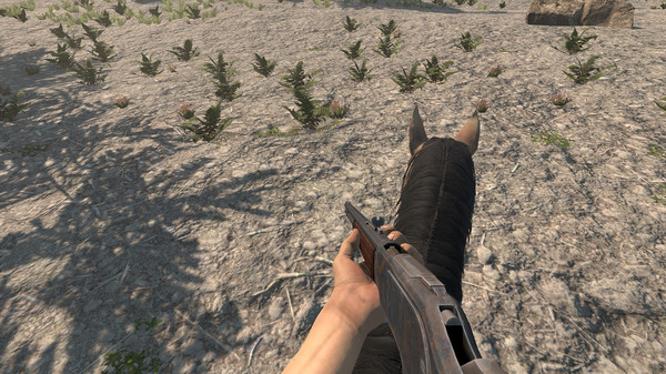 Скриншот из Sierra Madre: The Wild West