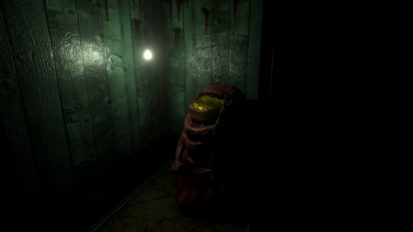 Timore 6 game for Linux 1