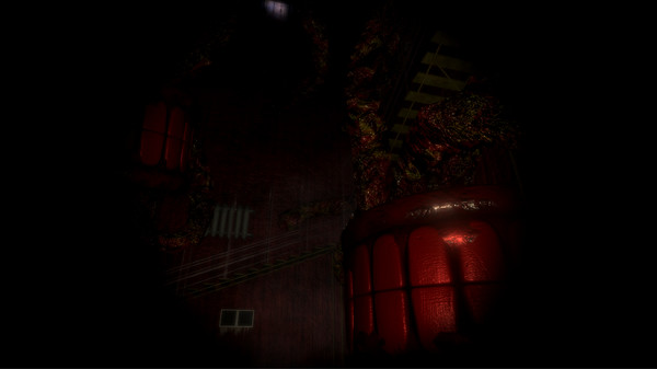 Timore 6for windows and Linux 1