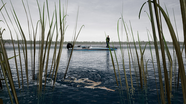 KHAiHOM.com - Fishing Sim World: Lake Dylan