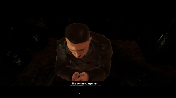 Скриншот из Adolf Hitler Humiliation Simulator