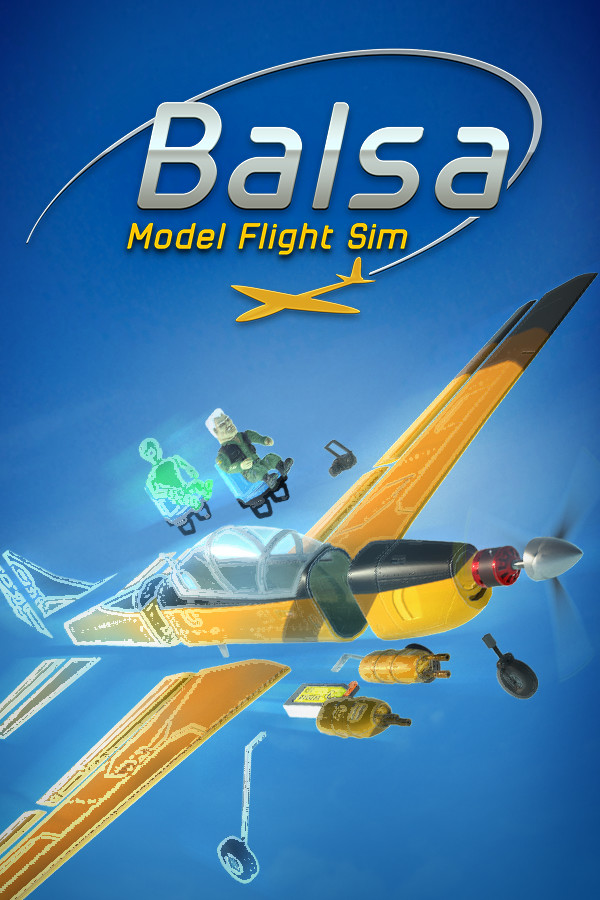 Steam portrait for Balsa Model Flight Simulator.