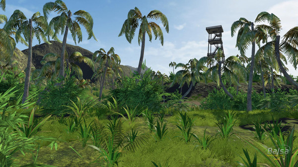 BALSA Model Flight Simulatorfor windows and Linux 1