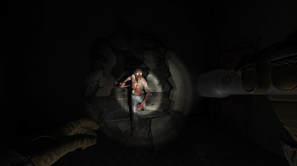 Allison's Diary: Rebirth game for Linux 1