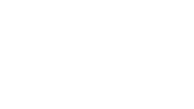 Melody Flight Logo
