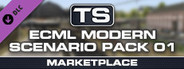 TS Marketplace: ECML Peterborough York Modern Scenario Pack 01