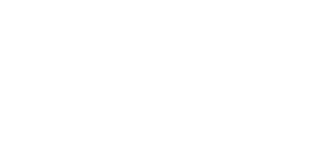 Bachata Virtual Logo