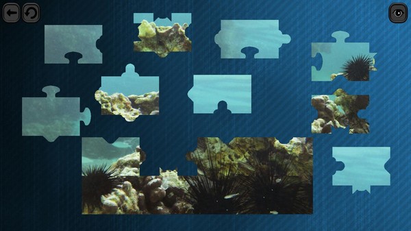 Puzzles for smart: Underwater Kingdom recommended requirements