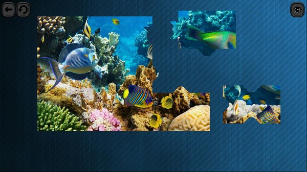 Can i run Puzzles for smart: Underwater Kingdom