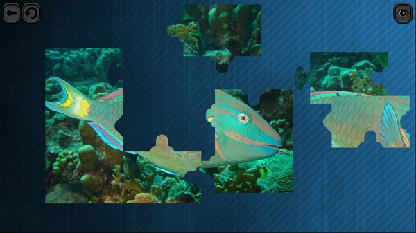 Puzzles for smart: Underwater Kingdom requirements