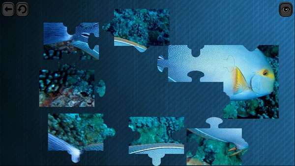 Puzzles for smart: Underwater Kingdom
