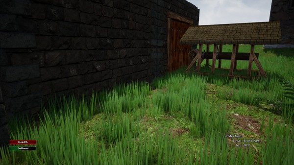 Medieval Townsfor windows and Linux 1