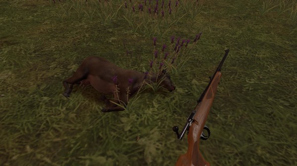 Can i run HUNTING SIMULATOR VR