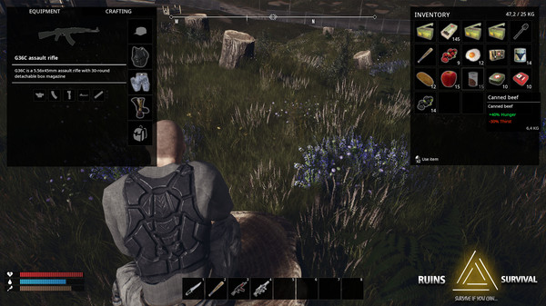 Скриншот из RUINS Survival