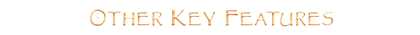 OtherKeyFeatures.png
