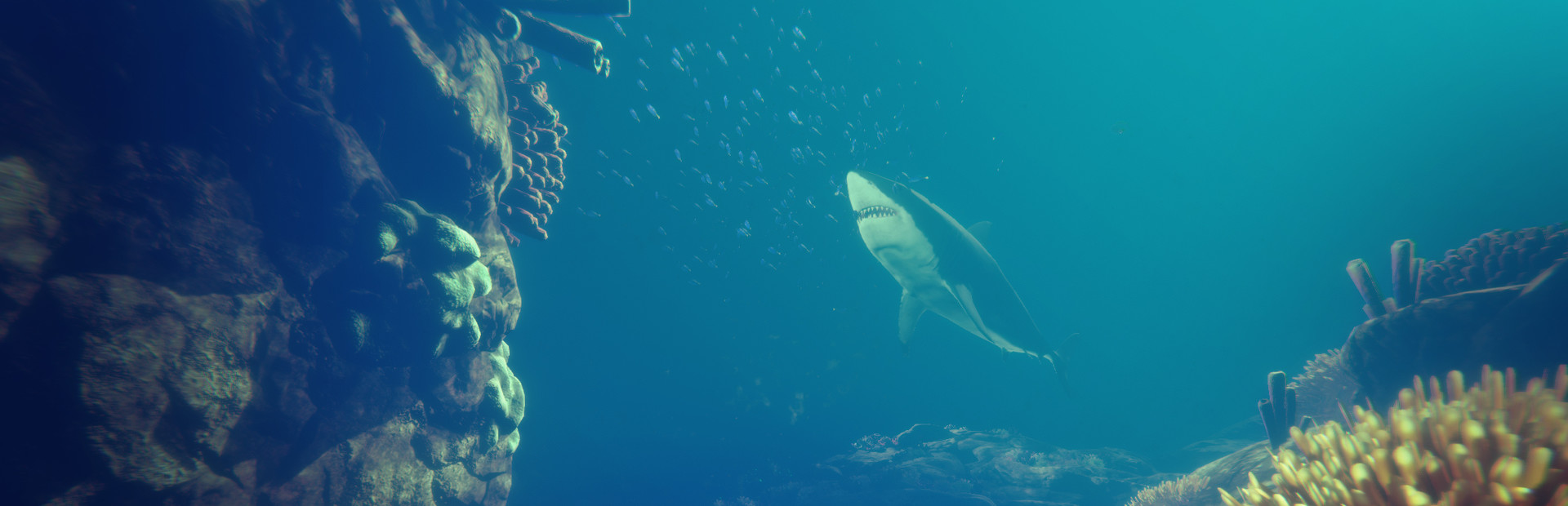 Deep Diving Simulator