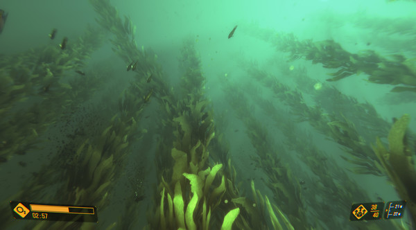 Deep Diving Simulatorfor windows and Linux 1