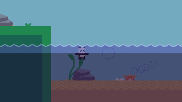 CoderBearfor windows and Linux 1