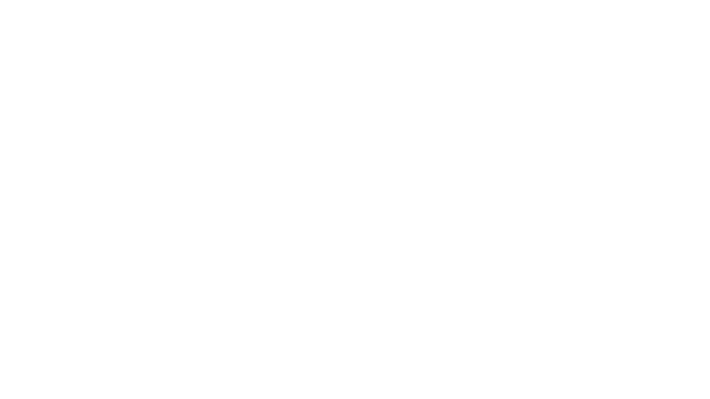 Havocado: Ragdoll Fighter Logo