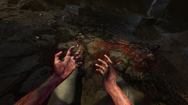 Amnesia: Rebirthfor windows and Linux 1