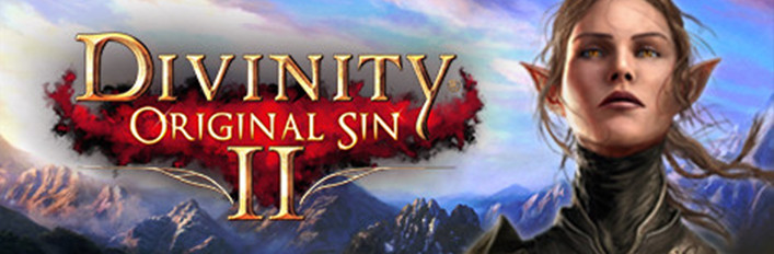 Divinity: Original Sin 2 - Divine Edition 