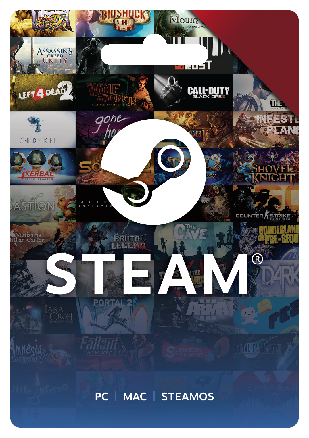 Carte Steam 100$